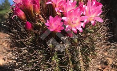 Parcela en Venta en RUTA-G 94