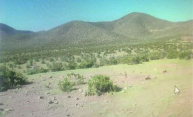 Agrícola en Venta en Camino a Lambert