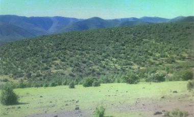 Agrícola en Venta en Camino a Lambert