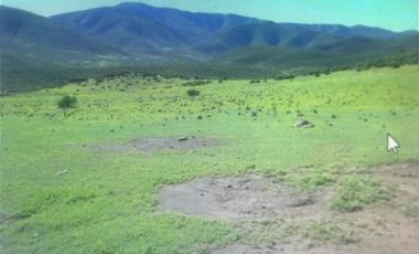 Agrícola en Venta en Camino a Lambert