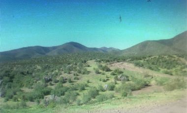 Agrícola en Venta en Camino a Lambert