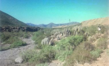 Agrícola en Venta en Camino a Lambert