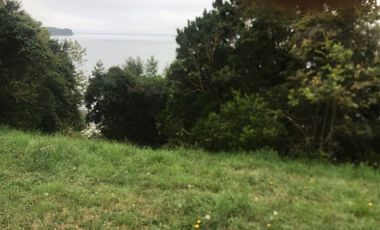 Parcela en Venta en Ñilque