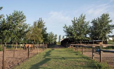 Terreno en  Venta en La Rinconada