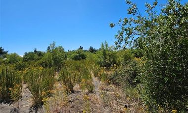 Parcela en Venta en Sector Montenegro camino Santa Laura