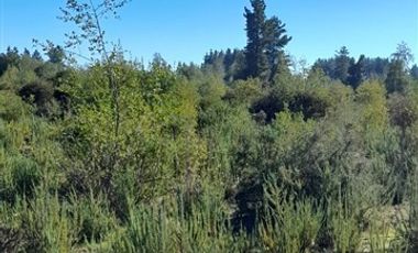 Parcela en Venta en Sector Montenegro camino Santa Laura