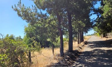Parcela en Venta en Sector Montenegro camino Santa Laura