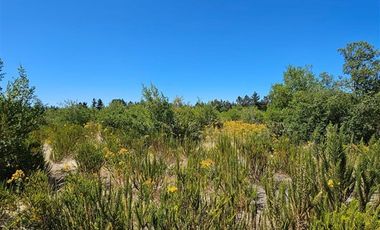 Parcela en Venta en Sector Montenegro camino Santa Laura