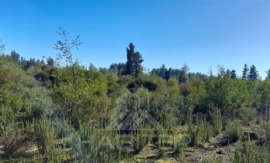 Parcela en Venta en Sector Montenegro camino Santa Laura