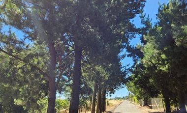 Parcela en Venta en Sector Montenegro camino Santa Laura