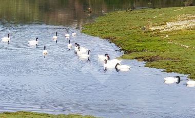 Casa en Venta en Desde Ruta V-891 hacia costa.