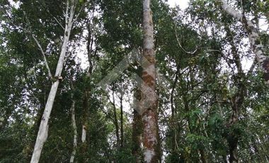 Casa en Venta en Desde Ruta V-891 hacia costa.