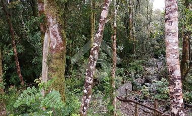 Casa en Venta en Desde Ruta V-891 hacia costa.