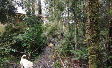 Casa en Venta en Desde Ruta V-891 hacia costa.