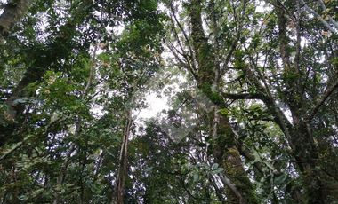 Casa en Venta en Desde Ruta V-891 hacia costa.