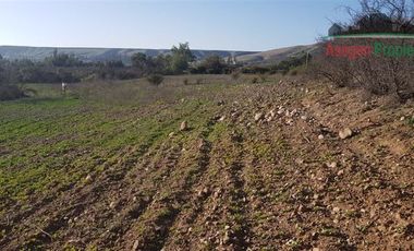 Parcela en Venta en Lote de 4 hectáreas en venta en sector Imperial Alto, Vallenar.