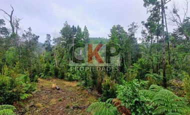 Parcela en Venta en Los Muermos/ Estaquilla