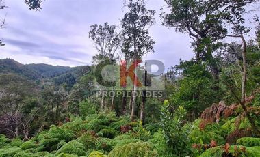 Parcela en Venta en Los Muermos/ Estaquilla