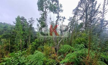 Parcela en Venta en Los Muermos/ Estaquilla