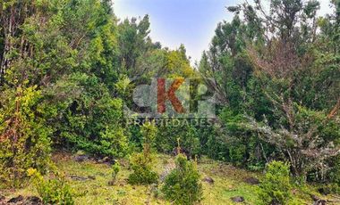 Parcela en Venta en Los Muermos/ Estaquilla