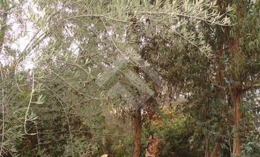 Sitio en Venta en Metro Ciudad del Niño