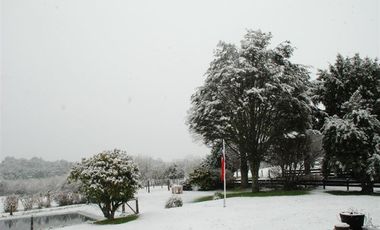 Sitio en Venta en Andres Bello AV. Independencia