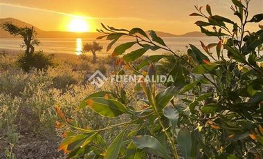 Sitio en Venta en Las Mostazas Lote 75