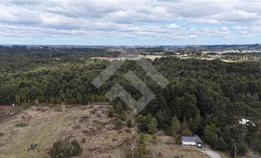 Parcela en Venta en Los Coigues del Sur