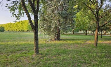 Lote en venta en Estancia Villa María Canning