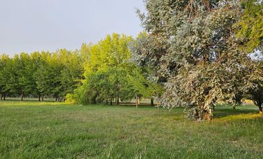 Lote en venta en Estancia Villa María Canning