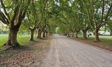 Lote en venta en Estancia Villa María Canning