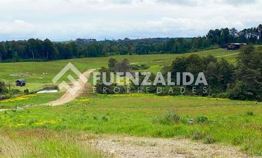 Parcela en Venta en Los Muermos