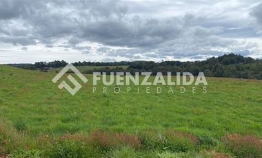 Parcela en Venta en Los Muermos