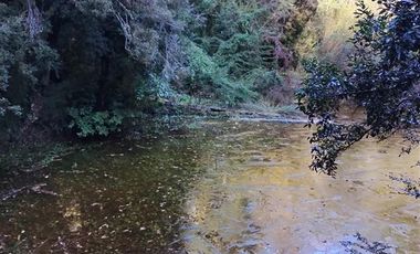 Casa en Venta en LOTEO LOS RENOVALES DE HUILO HUILO / PUERTO FUY - NELTUME