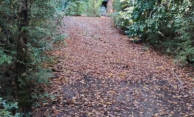 Casa en Venta en LOTEO LOS RENOVALES DE HUILO HUILO / PUERTO FUY - NELTUME