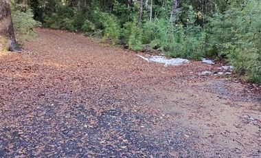 Casa en Venta en LOTEO LOS RENOVALES DE HUILO HUILO / PUERTO FUY - NELTUME