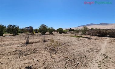 Parcela en Venta en Parcela en venta en San Pedro