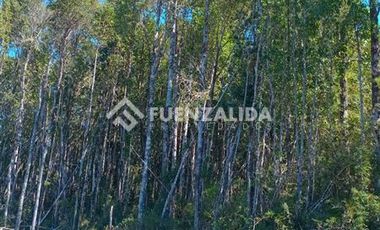 Parcela en Venta en Parque Rio Tambor,Maullin