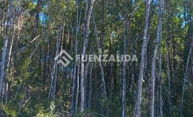 Parcela en Venta en Parque Rio Tambor,Maullin