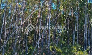 Parcela en Venta en Parque Rio Tambor,Maullin