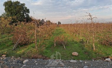 Parcela en Venta en Camino La Montaña, sector La Laguna