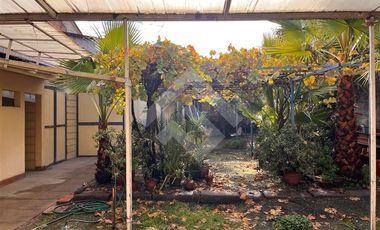 Local Comercial en Venta en Manzano