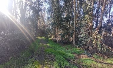 Terreno Construccion  en Venta en Gultro, Olivar