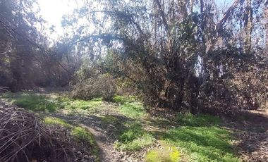 Terreno Construccion  en Venta en Gultro, Olivar