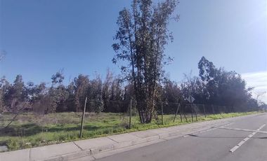 Terreno Construccion  en Venta en Gultro, Olivar