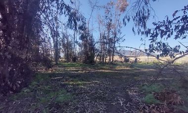 Terreno Construccion  en Venta en Gultro, Olivar