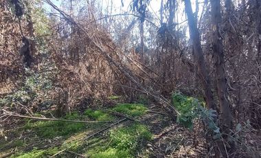 Terreno Construccion  en Venta en Gultro, Olivar