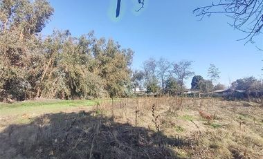 Terreno Construccion  en Venta en Gultro, Olivar