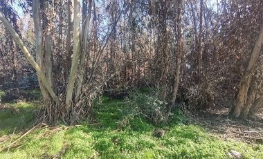 Terreno Construccion  en Venta en Gultro, Olivar