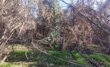 Terreno Construccion  en Venta en Gultro, Olivar